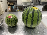 スイカ分け